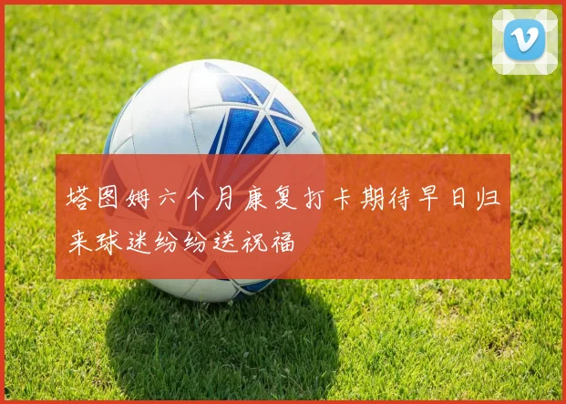 塔图姆六个月康复打卡期待早日归来球迷纷纷送祝福