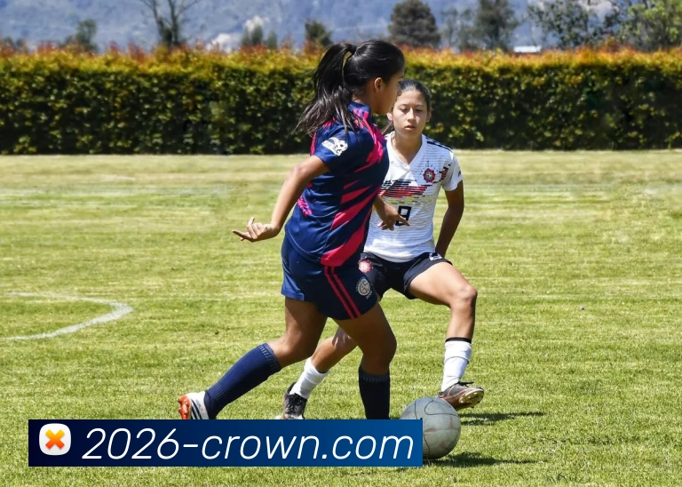 皇冠体育APP 体育赛事宣传图